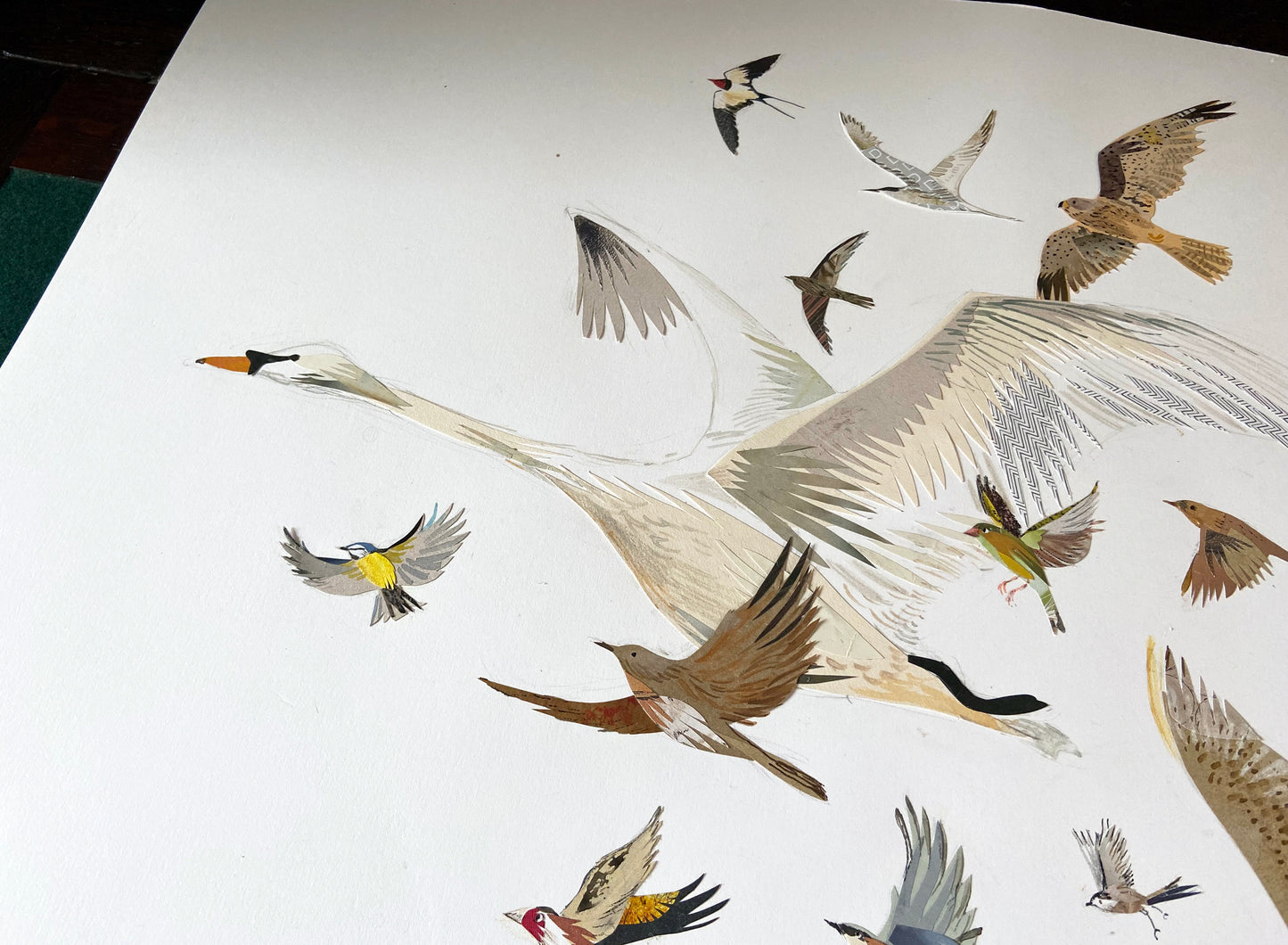 26 Birds Illustration Print