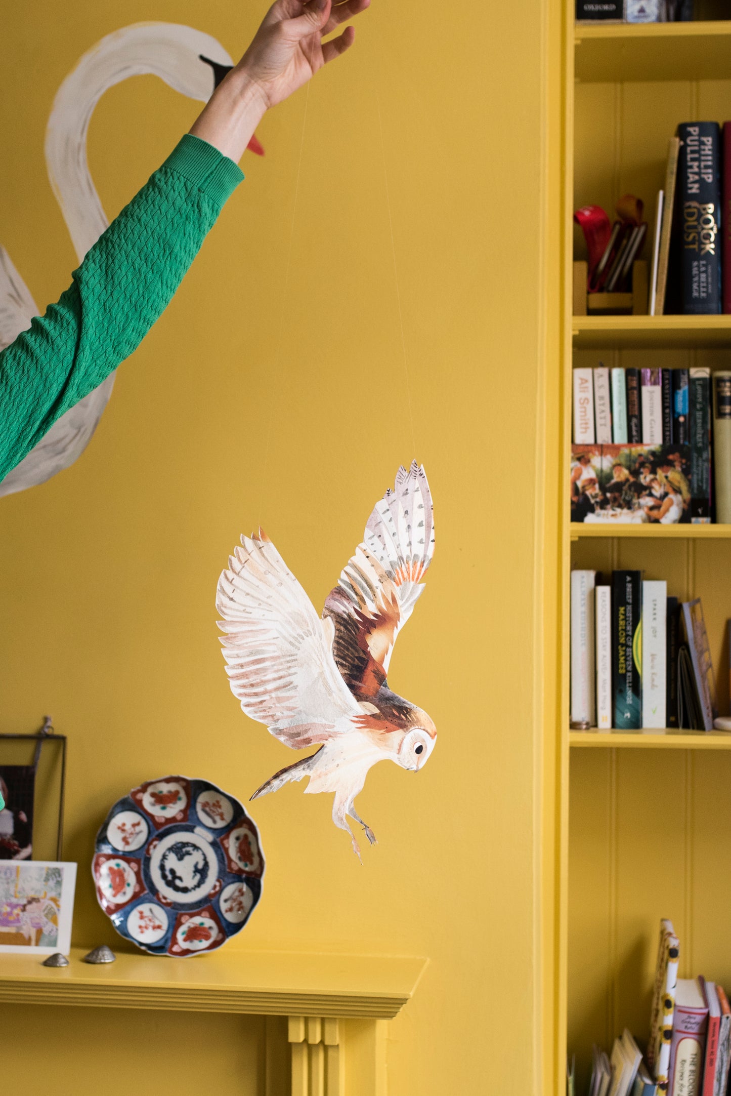 Barn Owl Decorative Bird Art