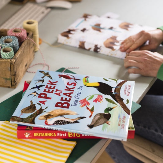 Send a Christmas Gift - Signed Children's Book Gift Service