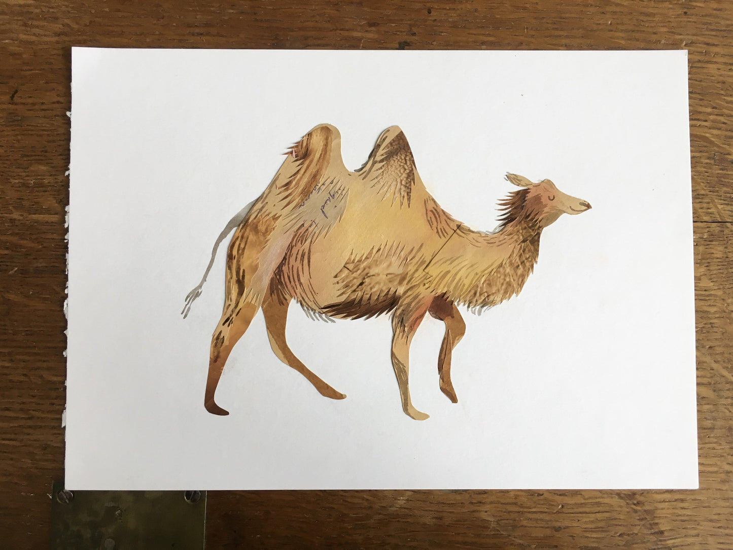 Art Sale - Camel Illustration - Original Artwork