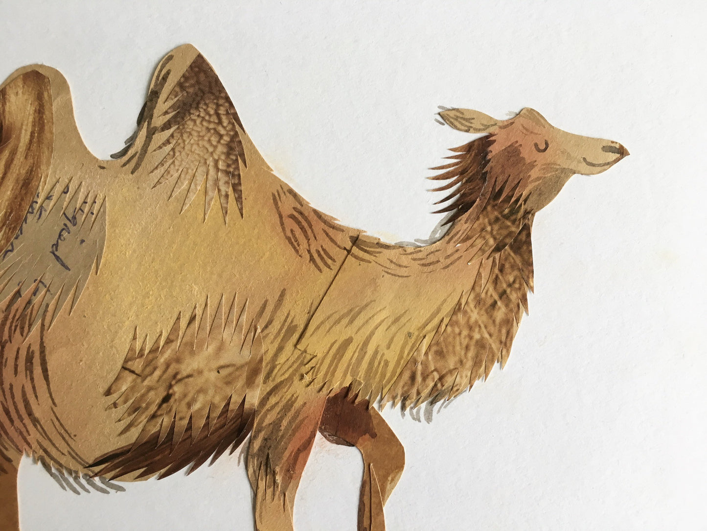 Art Sale - Camel Illustration - Original Artwork