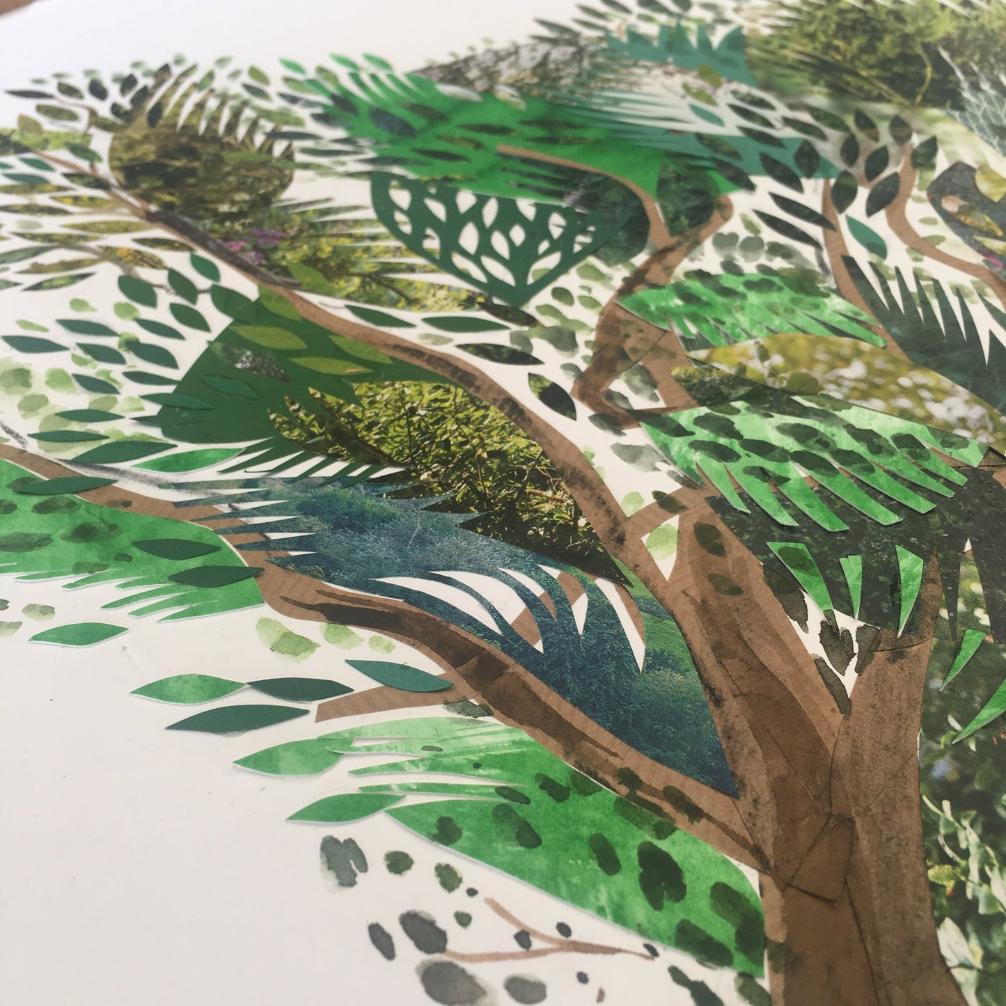 Oak Tree - Fine Art Print