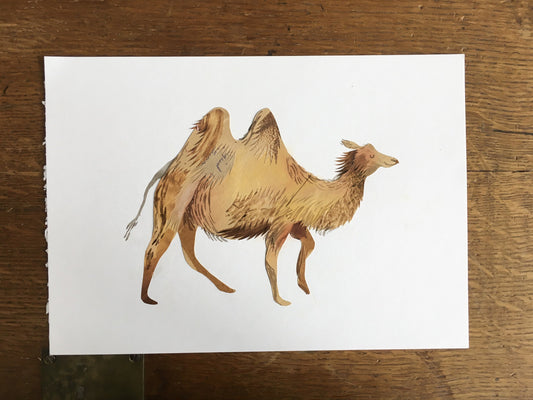 Art Sale - Camel Illustration - Original Artwork