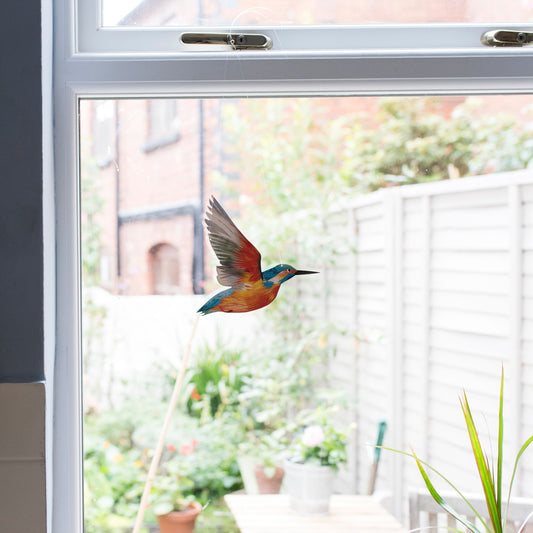 Kingfisher Decorative Bird Art