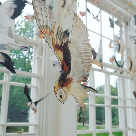 Barn Owl Decorative Bird Art