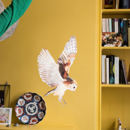 Barn Owl Decorative Bird Art